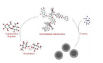 Optimized Electrochemical Performance of Si@C Prepared by Hydrothermal Reaction and Glucose Carbon Source Figure 3