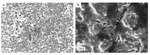 Optimized Electrochemical Performance of Si@C Prepared by Hydrothermal Reaction and Glucose Carbon Source Figure 6