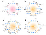 Perovskite-Type Water Oxidation Electrocatalysts Figure 12