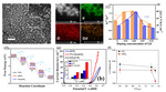 Recent Development of Low Iridium Electrocatalysts toward Efficient Water Oxidation Figure 9