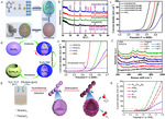 Surface Structure Engineering of FeNi-Based Pre-Catalyst for Oxygen Evolution Reaction: A Mini Review Figure 4