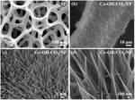 Self-Supporting NiFe LDHs@Co-OH-CO3 Nanorod Array Electrode for Alkaline Anion Exchange Membrane Water Electrolyzer Figure 2