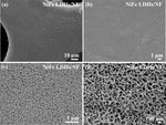 Self-Supporting NiFe LDHs@Co-OH-CO3 Nanorod Array Electrode for Alkaline Anion Exchange Membrane Water Electrolyzer Figure 3