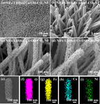 Self-Supporting NiFe LDHs@Co-OH-CO3 Nanorod Array Electrode for Alkaline Anion Exchange Membrane Water Electrolyzer Figure 4