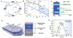 Alkaline Seawater Electrolysis at Industrial Level:Recent Progress and Perspective Figure 2