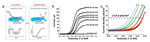 Electrochemical Syntheses of Nanomaterials and Small Molecules for Electrolytic Hydrogen Production Figure 4