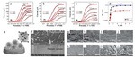 Electrochemical Syntheses of Nanomaterials and Small Molecules for Electrolytic Hydrogen Production Figure 5