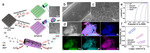 Electrochemical Syntheses of Nanomaterials and Small Molecules for Electrolytic Hydrogen Production Figure 9