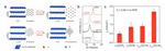 Electrochemical Syntheses of Nanomaterials and Small Molecules for Electrolytic Hydrogen Production Figure 12