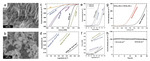 Electrochemical Syntheses of Nanomaterials and Small Molecules for Electrolytic Hydrogen Production Figure 16