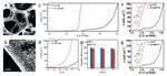 Electrochemical Syntheses of Nanomaterials and Small Molecules for Electrolytic Hydrogen Production Figure 17