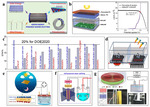 Alkaline Water Electrolysis for Efficient Hydrogen Production Figure 6