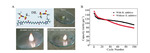 Oligomeric Ionic Liquids: Bulk, Interface and Electrochemical Application in Energy Storage Figure 10