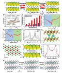 Review on Oxygen-Free Vanadium-Based Cathodes for Aqueous Zinc-Ion Batteries Figure 5