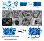 Review on Oxygen-Free Vanadium-Based Cathodes for Aqueous Zinc-Ion Batteries Figure 7