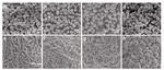 Insight into the Effects of Cation Disorder and Surface Chemical Residues on the Initial Coulombic Efficiency of Layered Oxide Cathode Figure 2