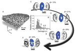 Application of Artificial Intelligence to Lithium-Ion Battery Research and Development Figure 10