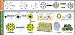 Multi-Electron Reaction-Boosted High Energy Density Batteries: Material and System Innovation Figure 3